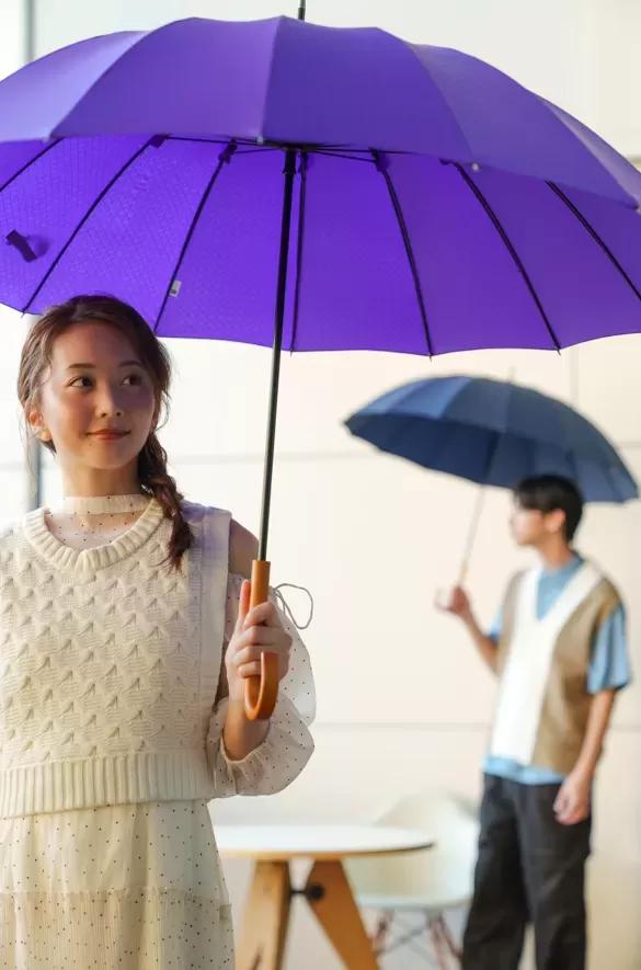16本骨傘 江戸